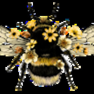 Meet your Posher, Jan